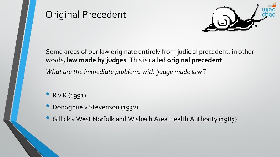 Original Precedent Some areas of our law originate entirely from judicial precedent, in other
