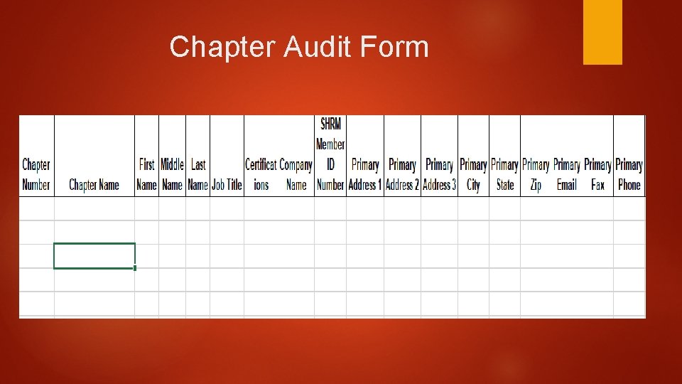 Chapter Audit Form 