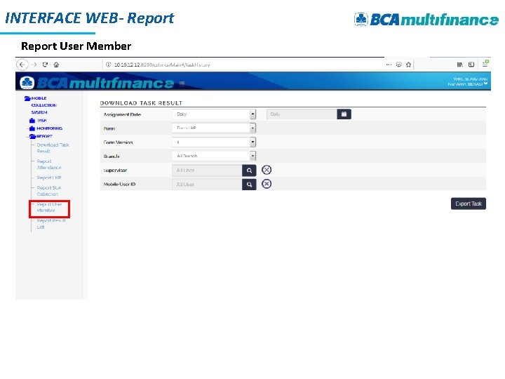 INTERFACE WEB- Report User Member 