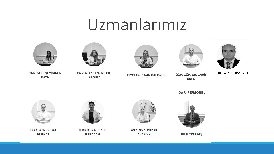 Uzmanlarımız Dr. FARZIN ARIANPOUR 