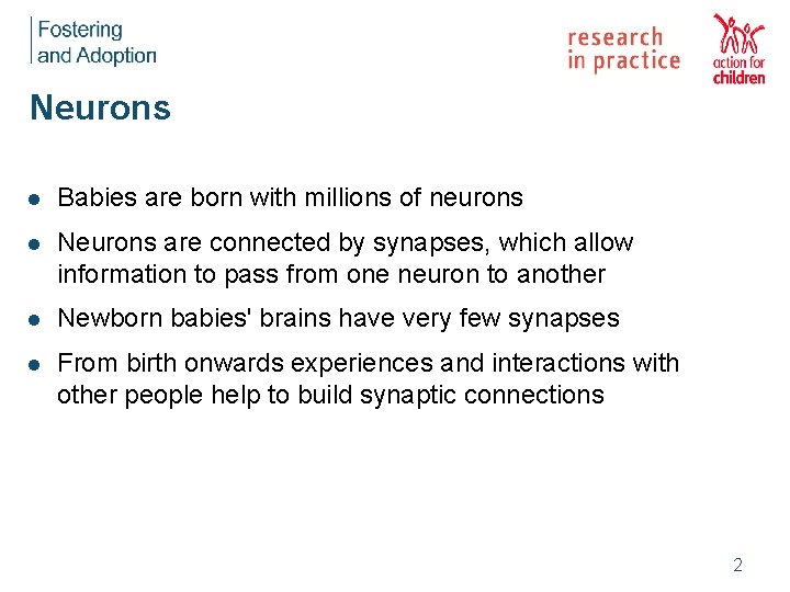 Neurons l Babies are born with millions of neurons l Neurons are connected by