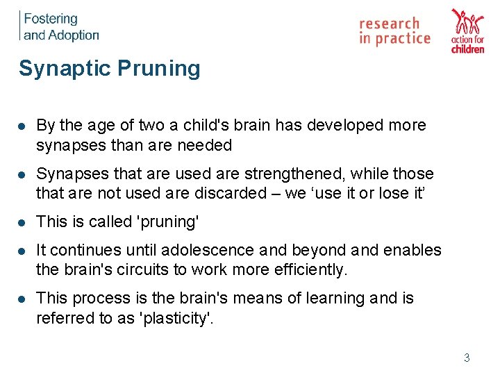 Synaptic Pruning l By the age of two a child's brain has developed more