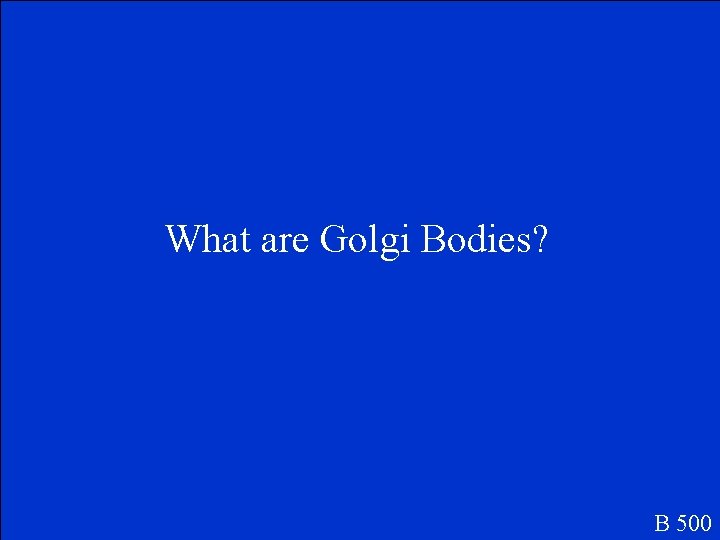 What are Golgi Bodies? B 500 