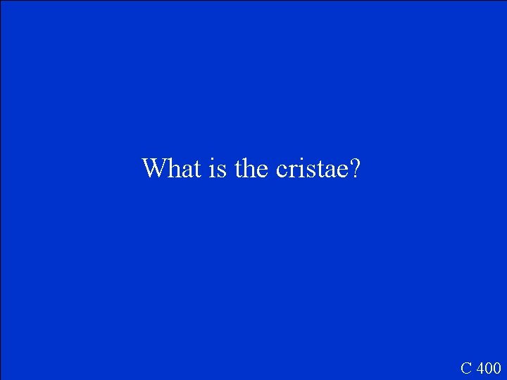 What is the cristae? C 400 