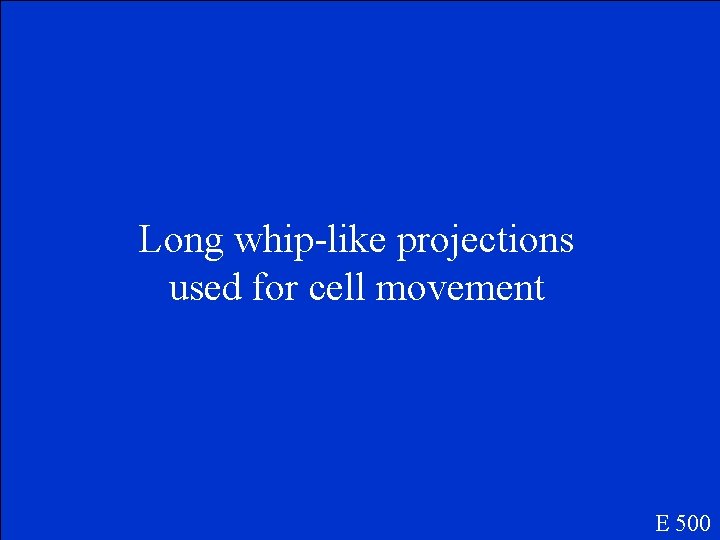 Long whip-like projections used for cell movement E 500 