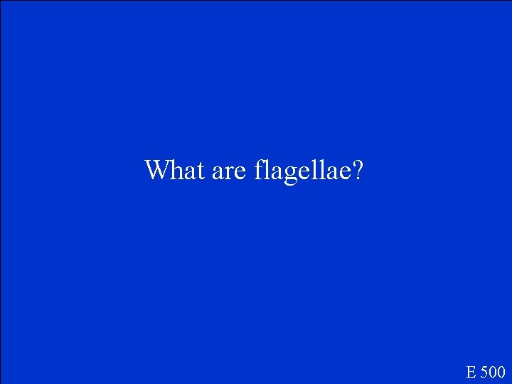 What are flagellae? E 500 