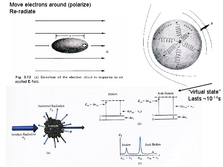 Move electrons around (polarize) Re-radiate “virtual state” Lasts ~10 -14 s 