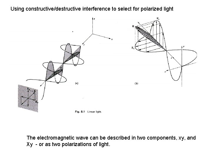 Using constructive/destructive interference to select for polarized light The electromagnetic wave can be described