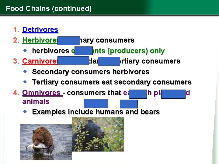 Food Chains (continued) 1. Detrivores 2. Herbivores - primary consumers w herbivores eat plants Food Chains (continued) 1. Detrivores 2. Herbivores - primary consumers w herbivores eat plants