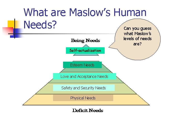 What are Maslow’s Human Needs? Can you guess what Maslow’s levels of needs are?