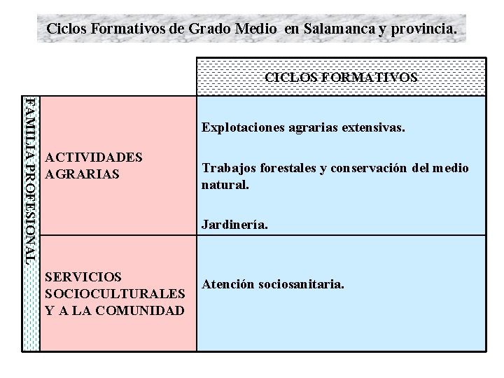 Ciclos Formativos de Grado Medio en Salamanca y provincia. CICLOS FORMATIVOS FAMILIA PROFESIONAL Explotaciones