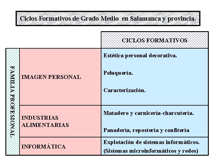 Ciclos Formativos de Grado Medio en Salamanca y provincia. CICLOS FORMATIVOS Estética personal decorativa.