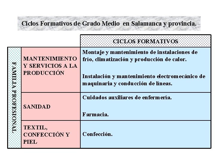 Ciclos Formativos de Grado Medio en Salamanca y provincia. CICLOS FORMATIVOS FAMILIA PROFESIONAL Montaje