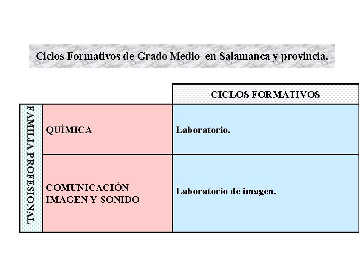 Ciclos Formativos de Grado Medio en Salamanca y provincia. CICLOS FORMATIVOS FAMILIA PROFESIONAL QUÍMICA