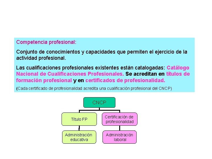 Competencia profesional: Conjunto de conocimientos y capacidades que permiten el ejercicio de la actividad