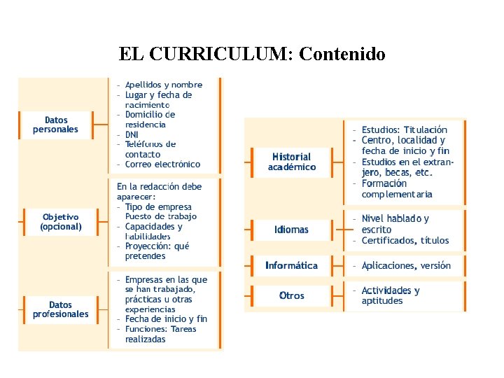 EL CURRICULUM: Contenido 