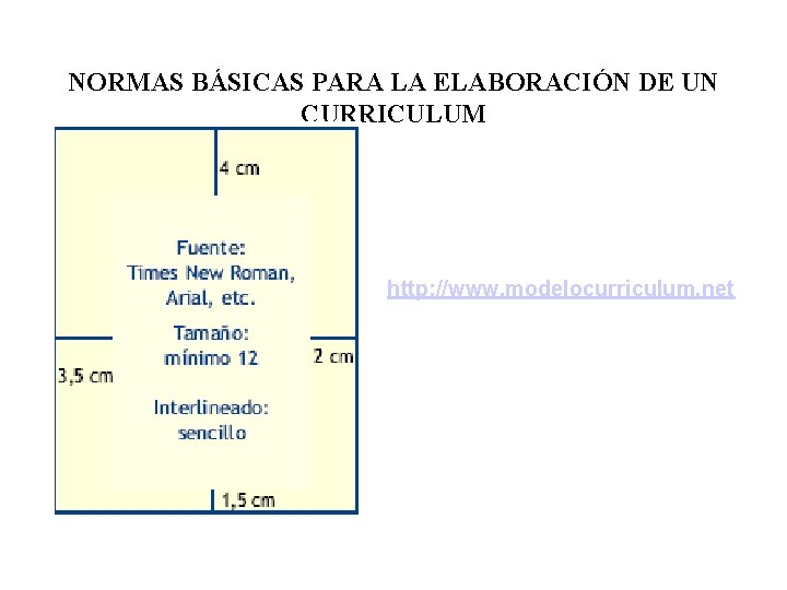 NORMAS BÁSICAS PARA LA ELABORACIÓN DE UN CURRICULUM http: //www. modelocurriculum. net 