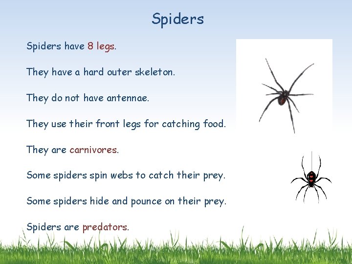 Spiders have 8 legs. They have a hard outer skeleton. They do not have