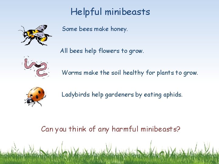 Helpful minibeasts Some bees make honey. All bees help flowers to grow. Worms make