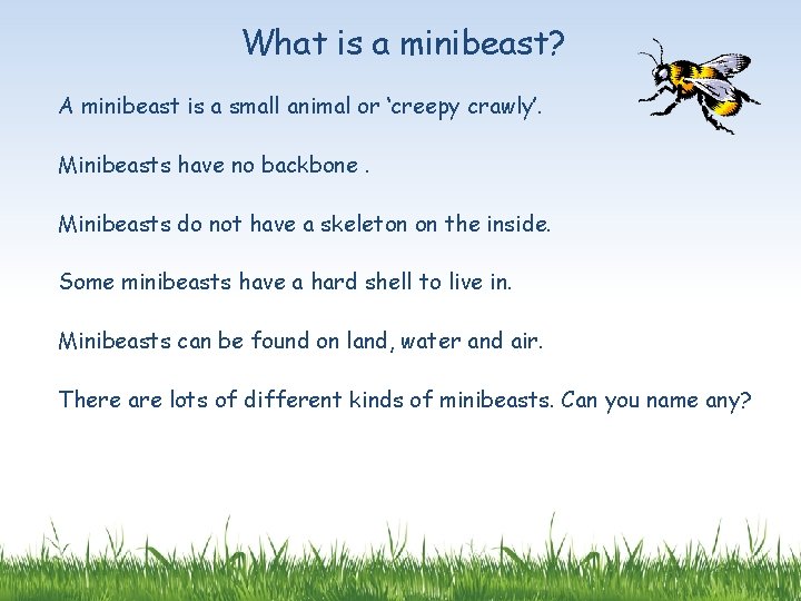 What is a minibeast? A minibeast is a small animal or ‘creepy crawly’. Minibeasts