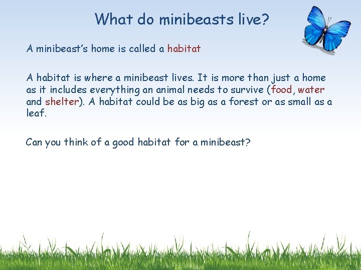 What do minibeasts live? A minibeast’s home is called a habitat A habitat is