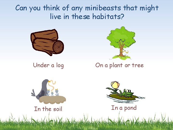 Can you think of any minibeasts that might live in these habitats? Under a