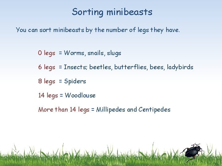 Sorting minibeasts You can sort minibeasts by the number of legs they have. 0