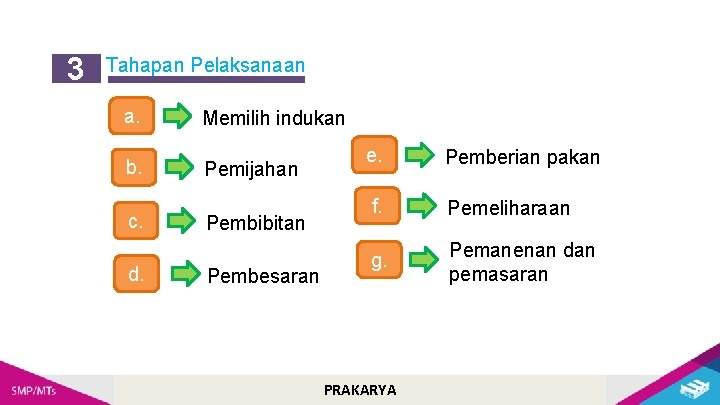 3 Tahapan Pelaksanaan a. b. c. d. Memilih indukan Pemijahan Pembibitan Pembesaran e. Pemberian