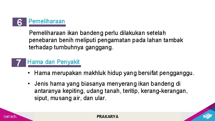 6 Pemeliharaan ikan bandeng perlu dilakukan setelah penebaran benih meliputi pengamatan pada lahan tambak