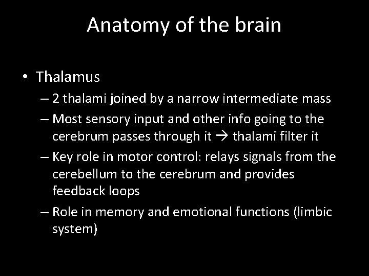 Anatomy of the brain • Thalamus – 2 thalami joined by a narrow intermediate