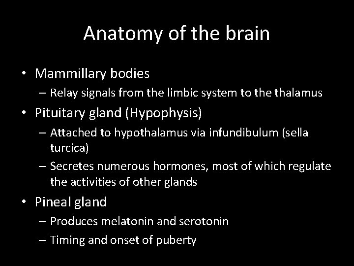 Anatomy of the brain • Mammillary bodies – Relay signals from the limbic system