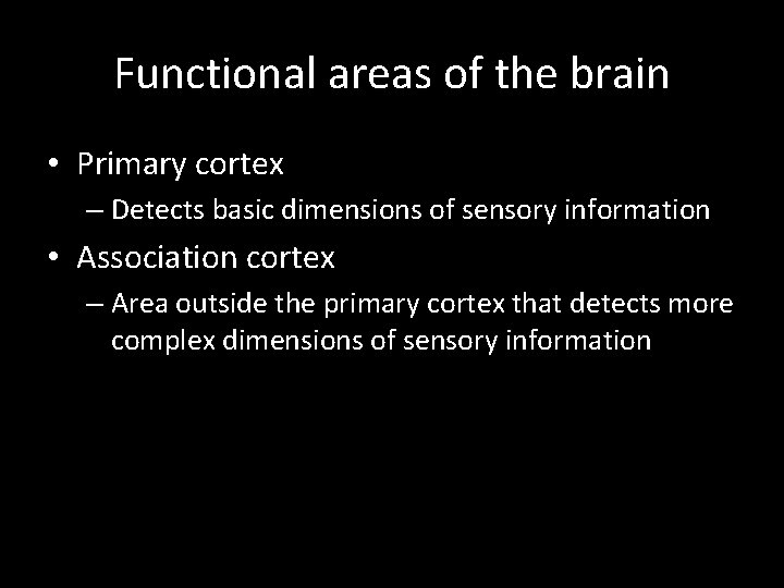 Functional areas of the brain • Primary cortex – Detects basic dimensions of sensory