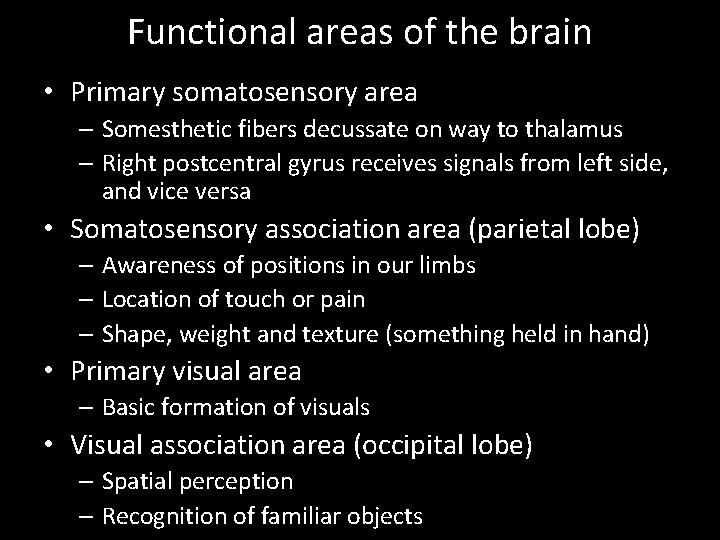 Functional areas of the brain • Primary somatosensory area – Somesthetic fibers decussate on
