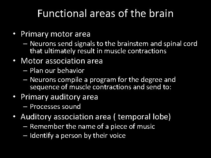 Functional areas of the brain • Primary motor area – Neurons send signals to