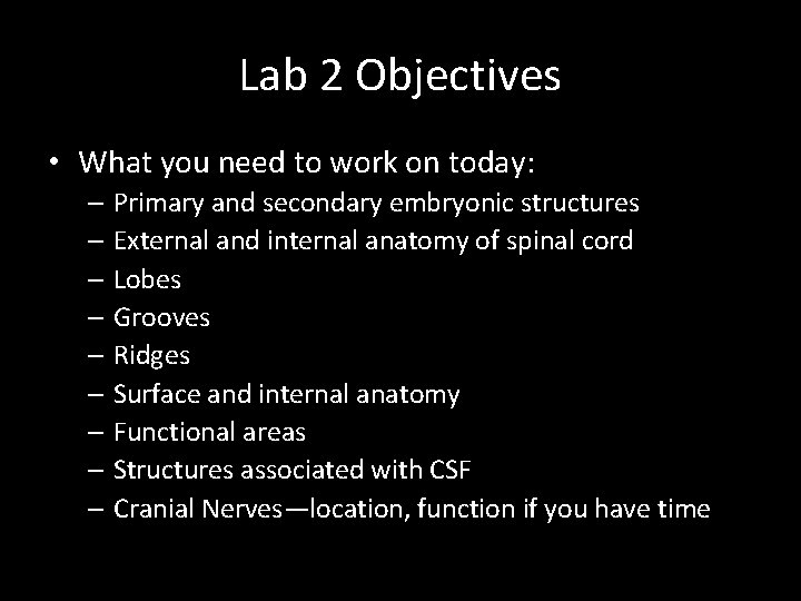 Lab 2 Objectives • What you need to work on today: – Primary and