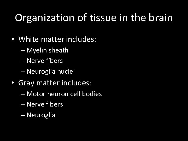 Organization of tissue in the brain • White matter includes: – Myelin sheath –