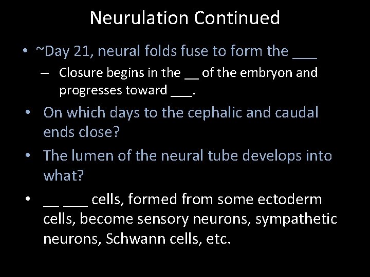 Neurulation Continued • ~Day 21, neural folds fuse to form the ___ – Closure
