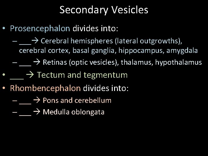 Secondary Vesicles • Prosencephalon divides into: – ___ Cerebral hemispheres (lateral outgrowths), cerebral cortex,