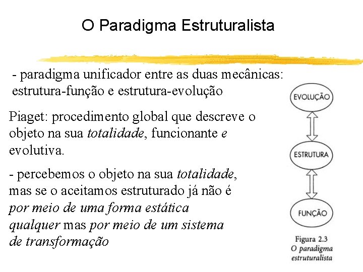 O Paradigma Estruturalista - paradigma unificador entre as duas mecânicas: estrutura-função e estrutura-evolução Piaget: