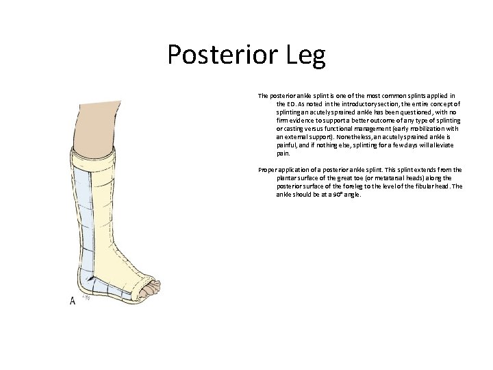 Posterior Leg The posterior ankle splint is one of the most common splints applied