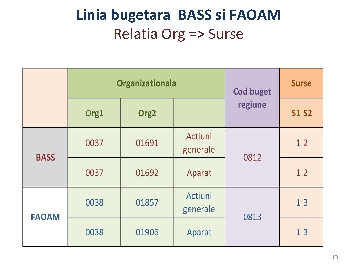 Linia bugetara BASS si FAOAM Relatia Org => Surse 13 