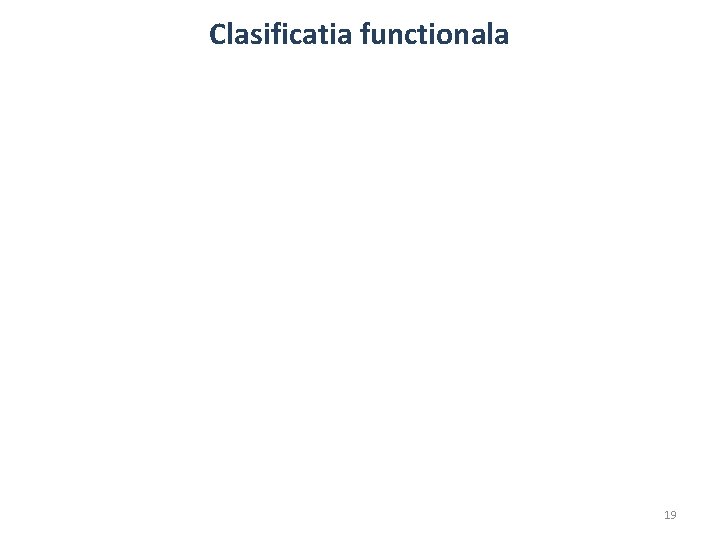 Clasificatia functionala 19 