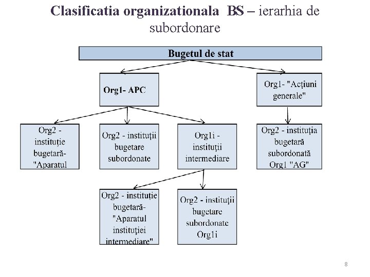 Clasificatia organizationala BS – ierarhia de subordonare 8 