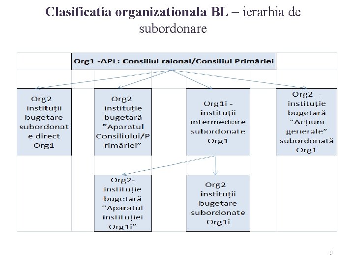 Clasificatia organizationala BL – ierarhia de subordonare 9 