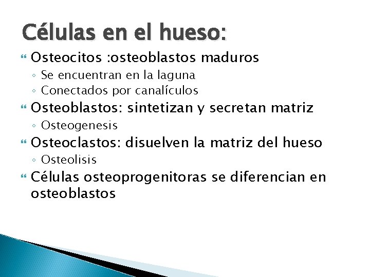 Células en el hueso: Osteocitos : osteoblastos maduros ◦ Se encuentran en la laguna