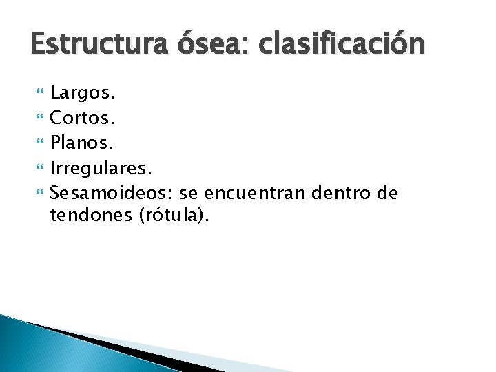 Estructura ósea: clasificación Largos. Cortos. Planos. Irregulares. Sesamoideos: se encuentran dentro de tendones (rótula).