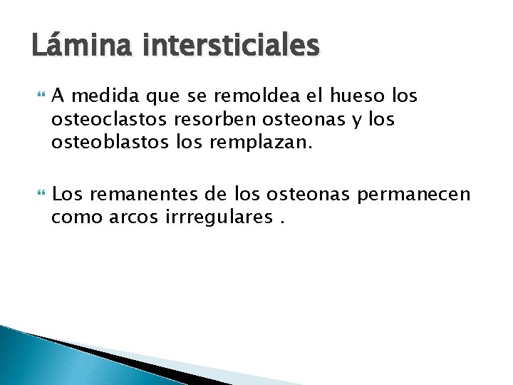 Lámina intersticiales A medida que se remoldea el hueso los osteoclastos resorben osteonas y