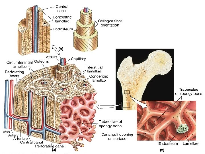 Figure 6. 4 