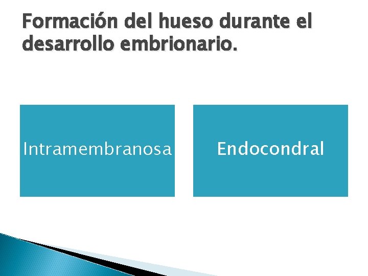 Formación del hueso durante el desarrollo embrionario. Intramembranosa Endocondral 