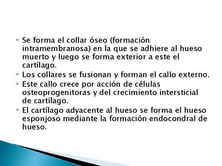  Se forma el collar óseo (formación intramembranosa) en la que se adhiere al